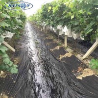 UV Resistant Ground Cover Agricultural Nonwoven Film Non-Woven Agriculture Black Plastic Mulch Film